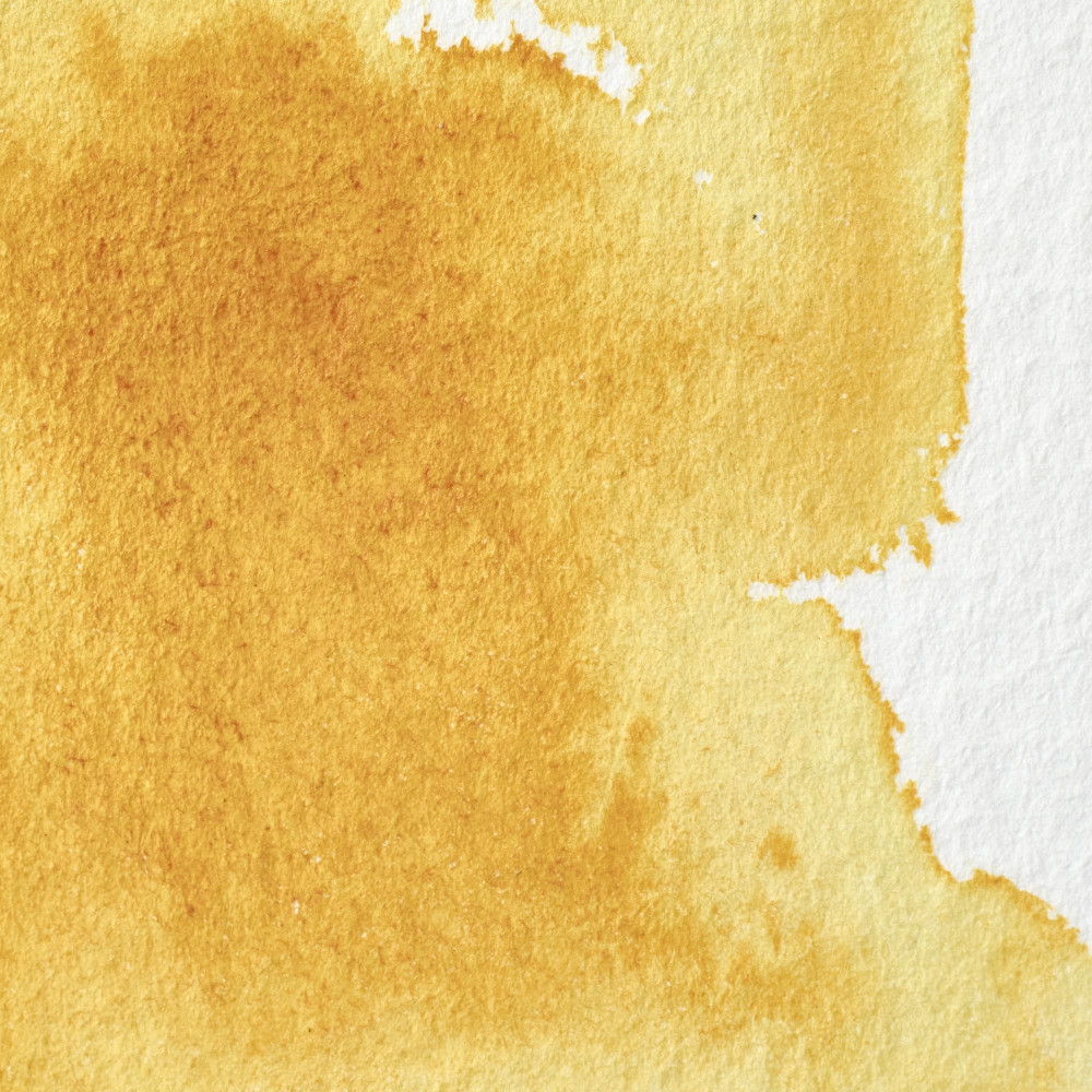 Professional Watercolor half-pan - Winsor & Newton - New Gamboge