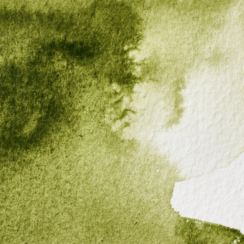 Professional Watercolor half-pan - Winsor & Newton - Olive Green