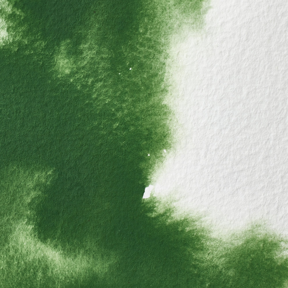 Farba akwarelowa Professional w półkostce - Winsor & Newton - Oxide Chromium