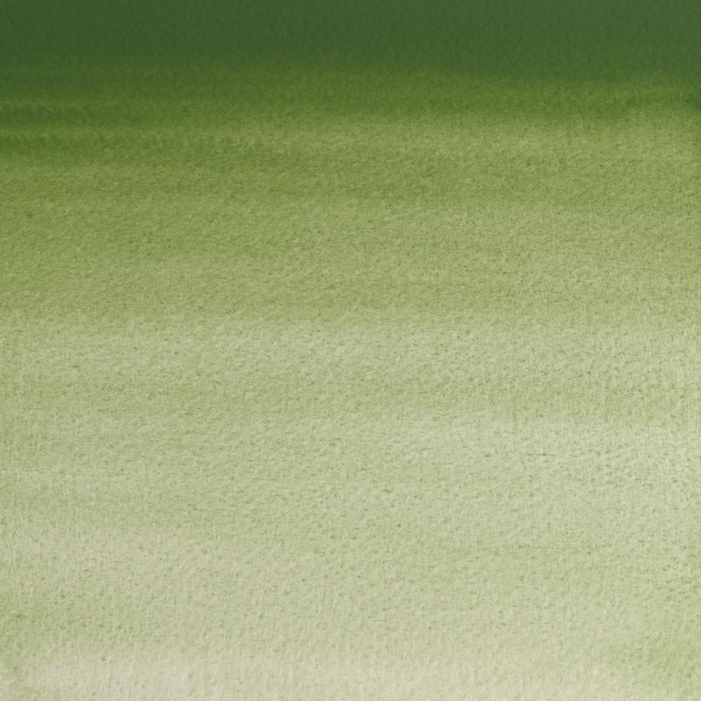 Farba akwarelowa Professional w półkostce - Winsor & Newton - Oxide Chromium