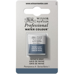 Professional Watercolor half-pan - Winsor & Newton - Payne’s Grey