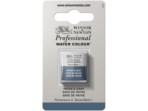 Professional Watercolor half-pan - Winsor & Newton - Payne’s Grey