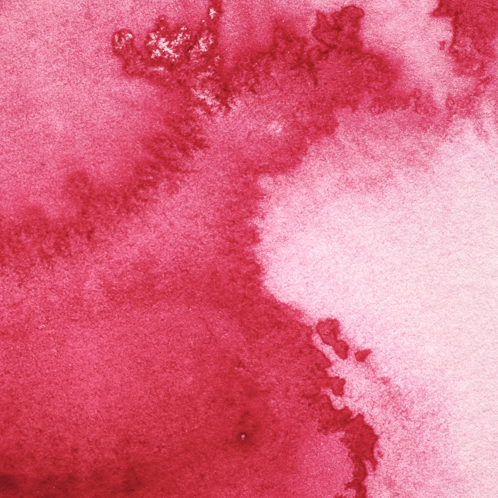 Professional Watercolor half-pan - Winsor & Newton - Permanent Rose