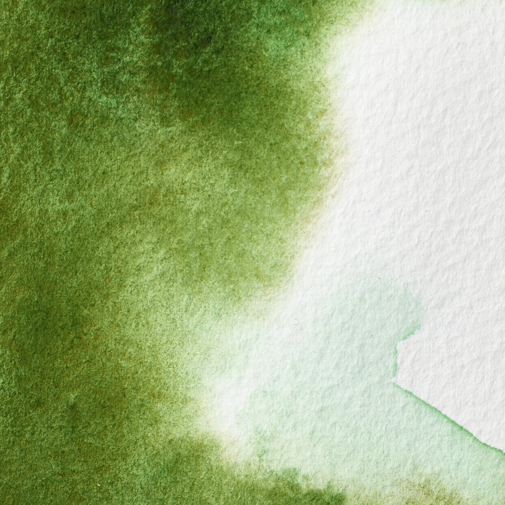 Professional Watercolor half-pan - Winsor & Newton - Permanent Sap Green