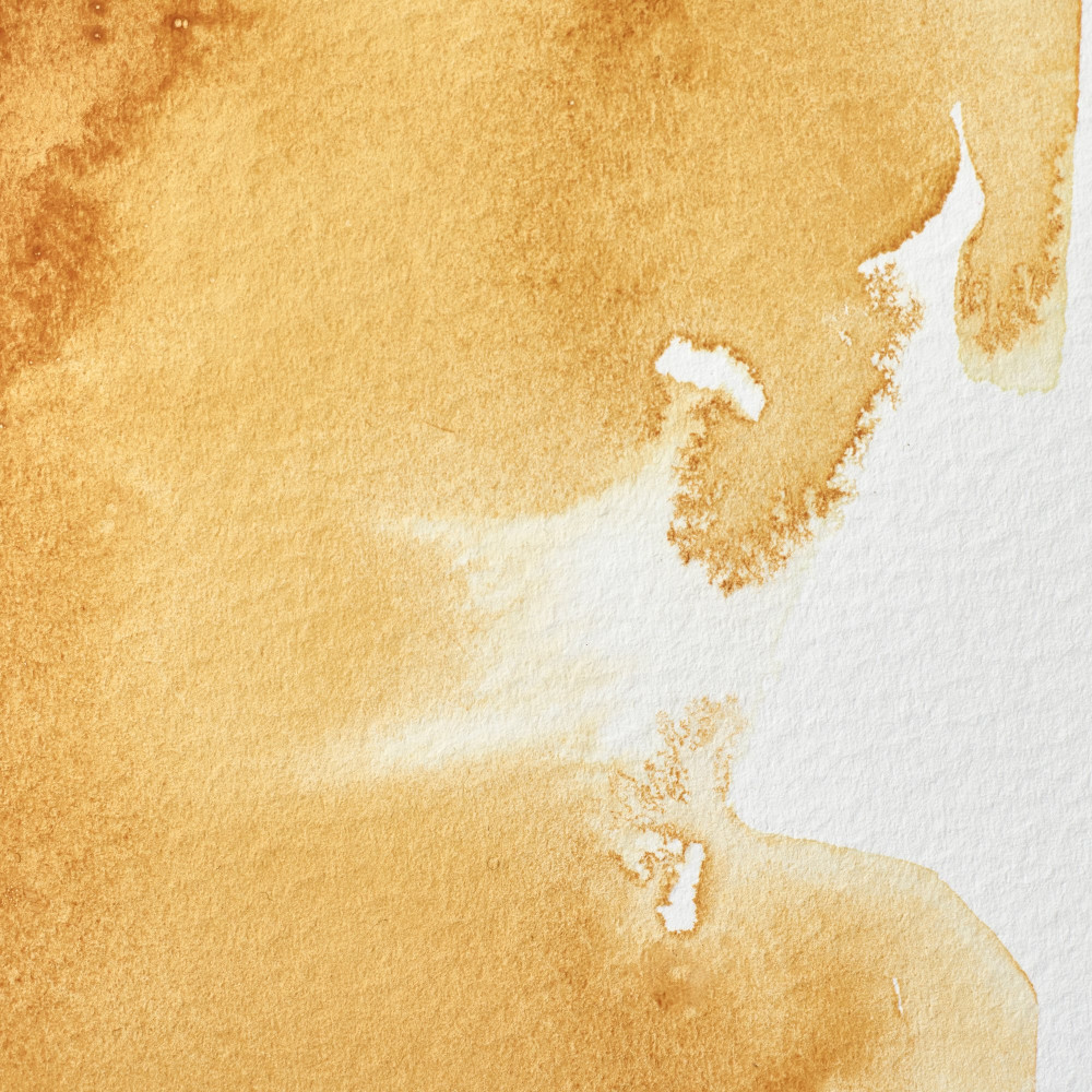 Farba akwarelowa Professional w półkostce - Winsor & Newton - Raw Sienna