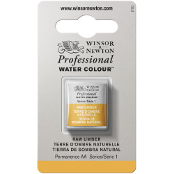 Professional Watercolor half-pan - Winsor & Newton - Raw Umber