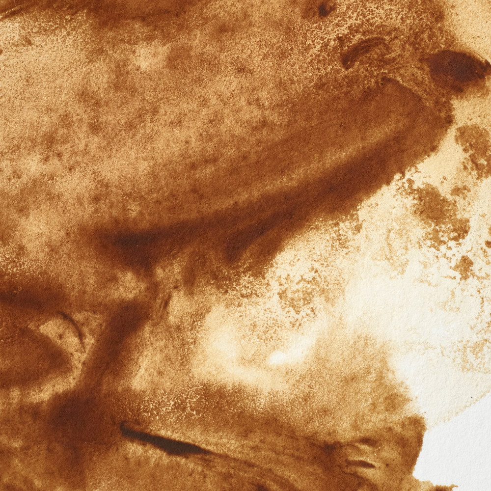 Professional Watercolor half-pan - Winsor & Newton - Raw Umber