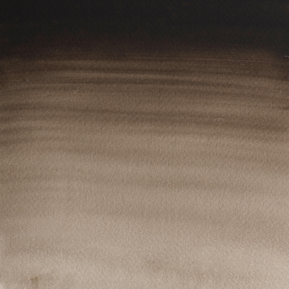 Farba akwarelowa Professional w półkostce - Winsor & Newton - Sepia