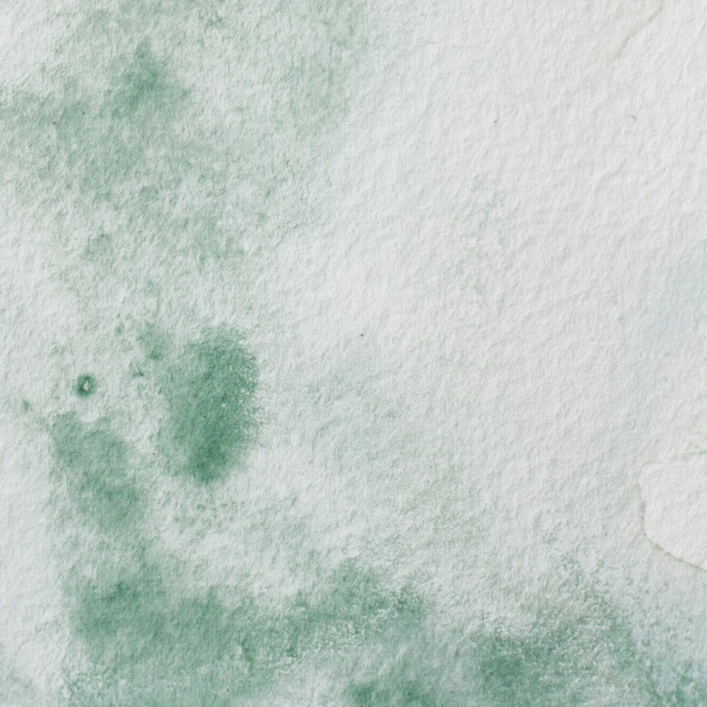 Professional Watercolor half-pan - Winsor & Newton - Terre Verte