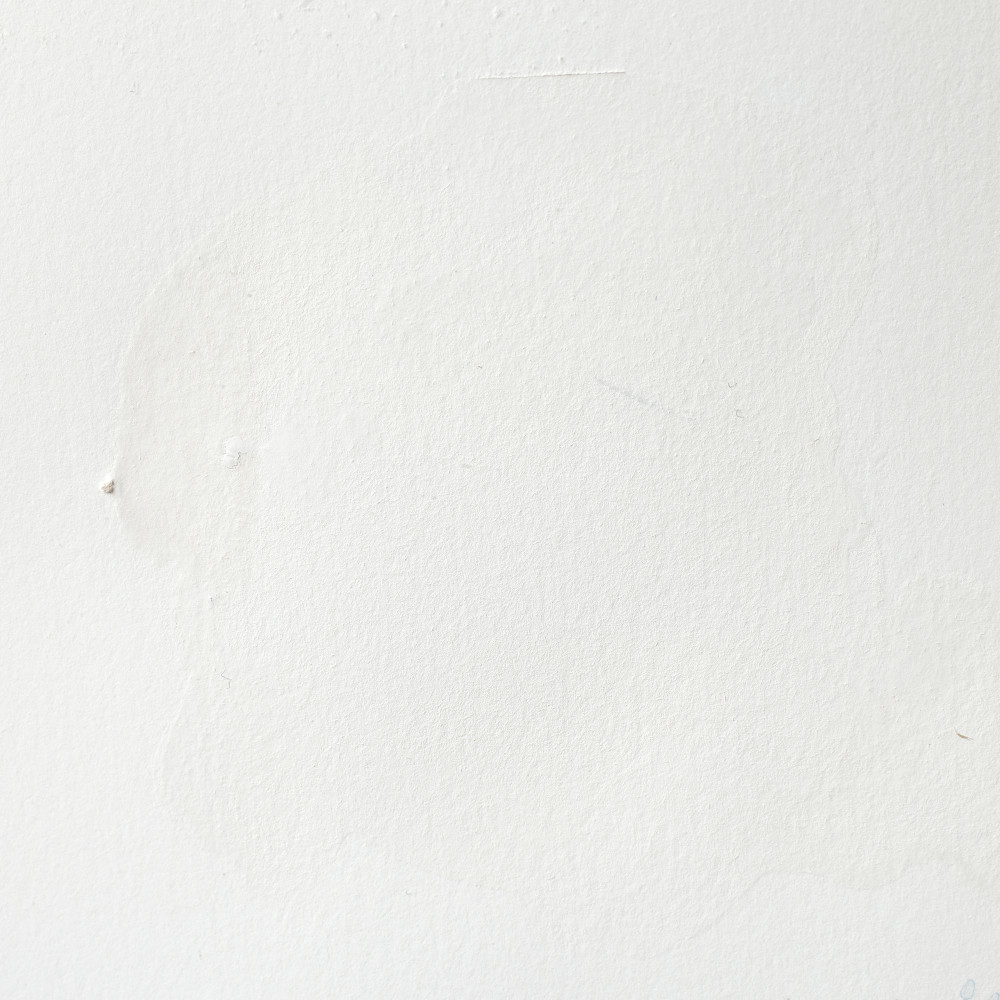 Farba akwarelowa Professional w półkostce - Winsor & Newton - Titanium White