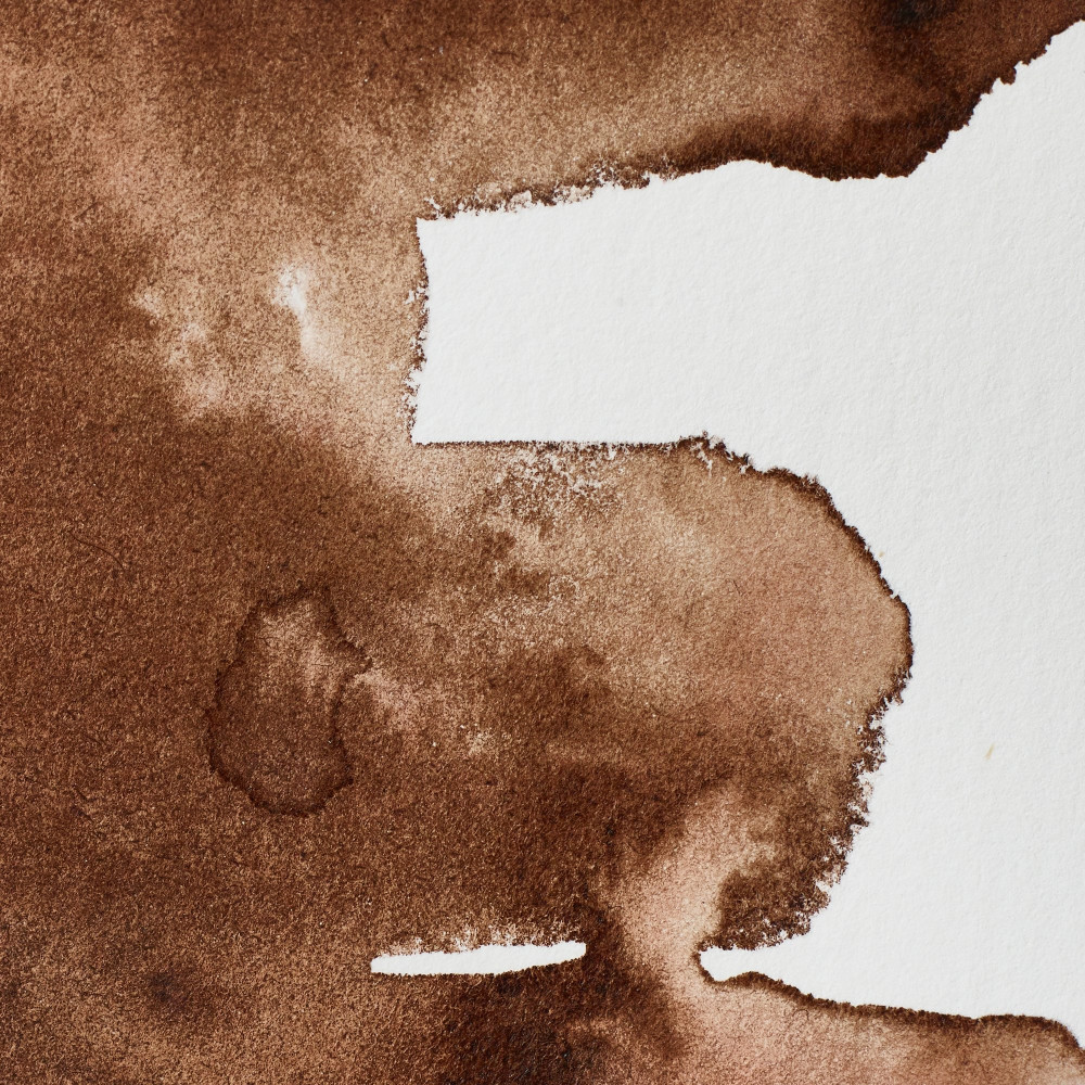 Professional Watercolor half-pan - Winsor & Newton - Vandyke Brown