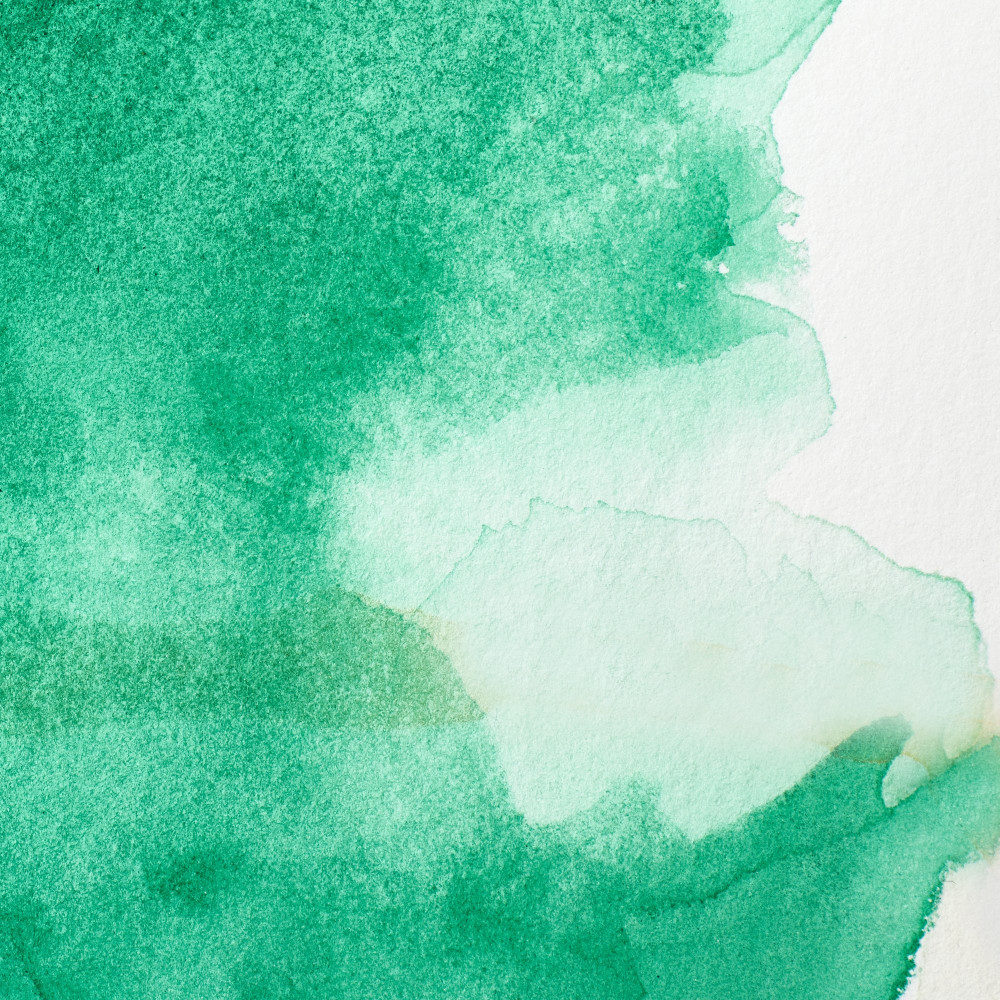 Professional Watercolor half-pan - Winsor & Newton - Winsor Green (Yellow Shade)