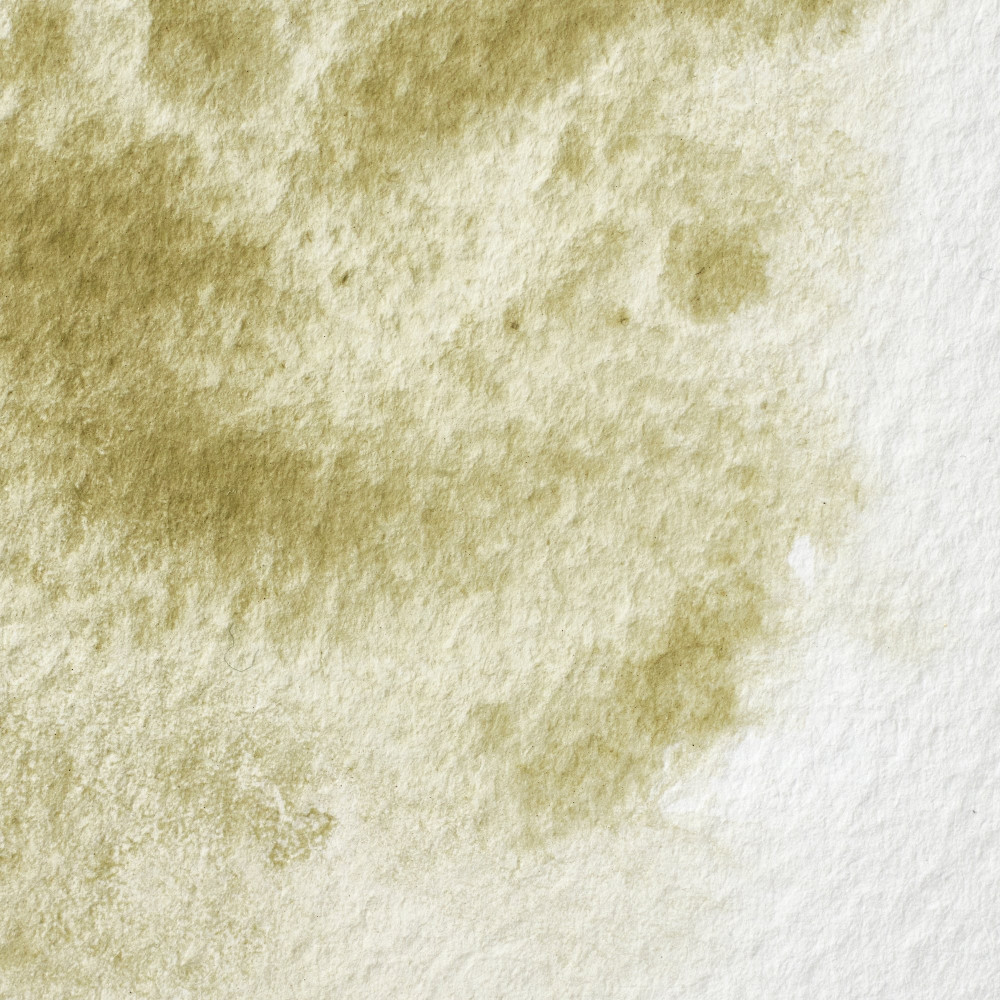 Professional Watercolor half-pan - Winsor & Newton - Terre Verte (Yellow Shade)