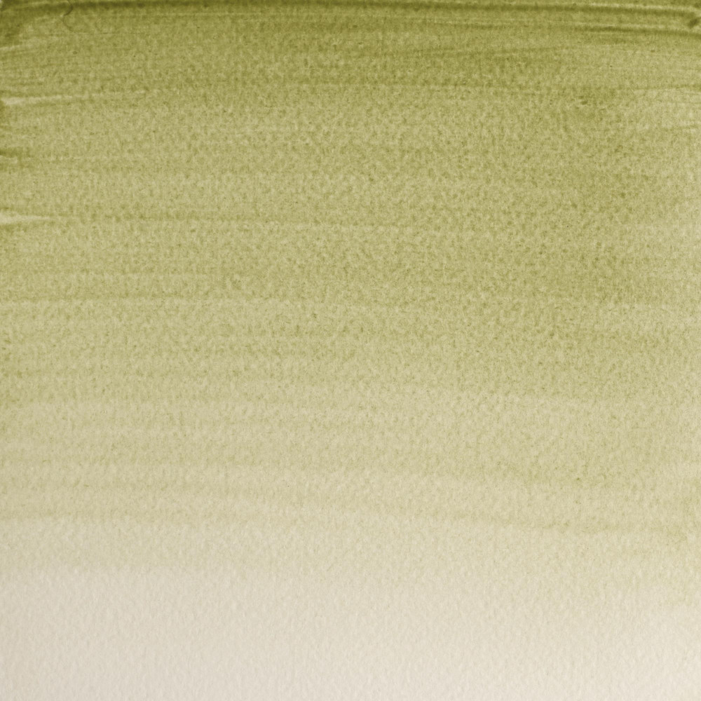 Professional Watercolor half-pan - Winsor & Newton - Terre Verte (Yellow Shade)