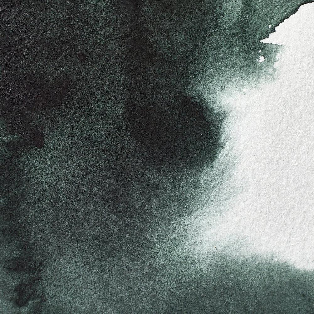 Professional Watercolor half-pan - Winsor & Newton - Perylene Green