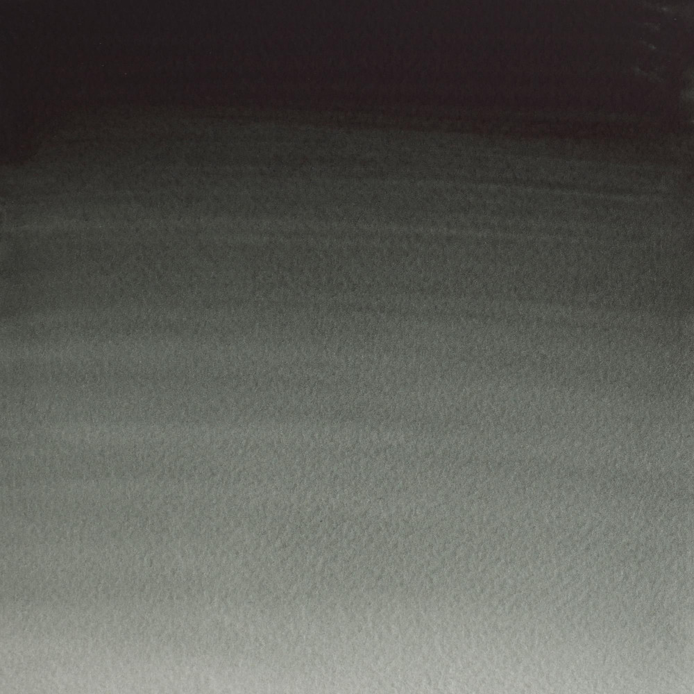 Professional Watercolor half-pan - Winsor & Newton - Perylene Green