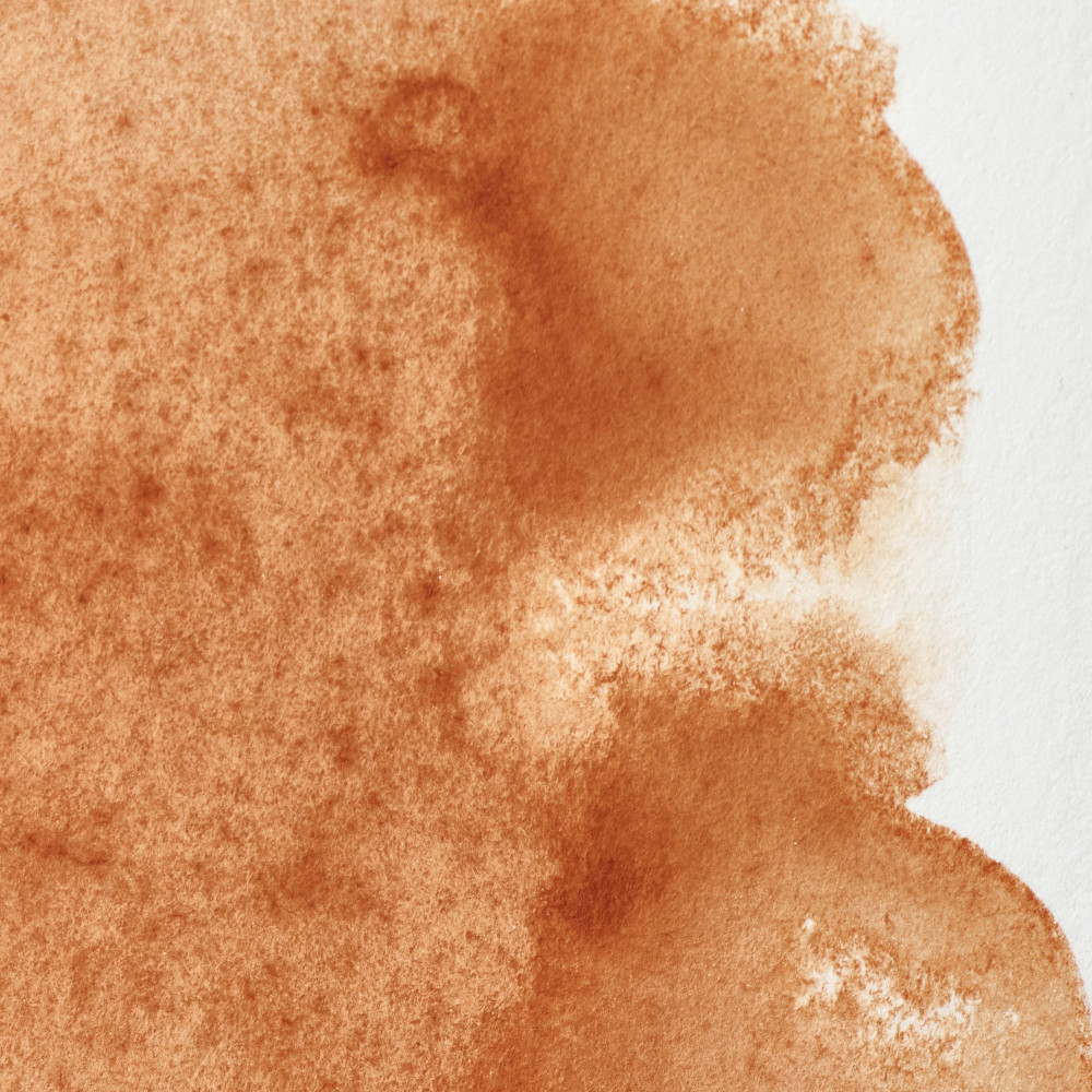 Professional Watercolor half-pan - Winsor & Newton - Brown Ochre