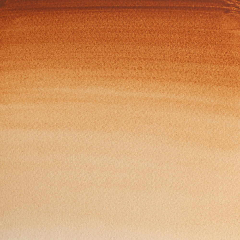 Farba akwarelowa Professional w półkostce - Winsor & Newton - Brown Ochre