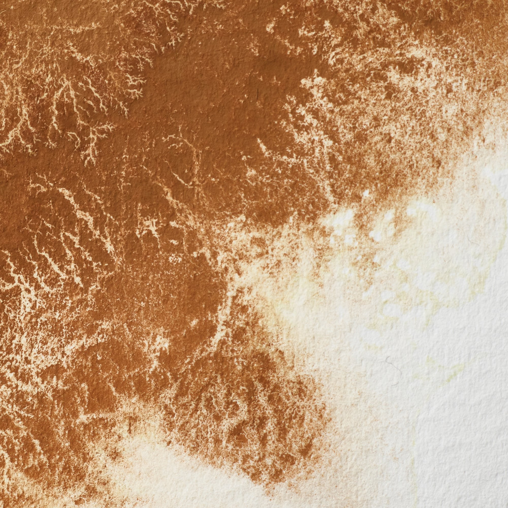 Farba akwarelowa Professional w półkostce - Winsor & Newton - Magnesium Brown