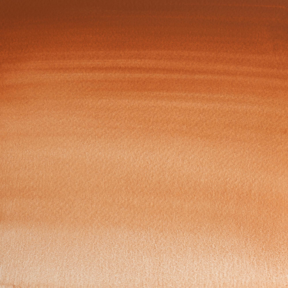 Farba akwarelowa Professional w półkostce - Winsor & Newton - Magnesium Brown