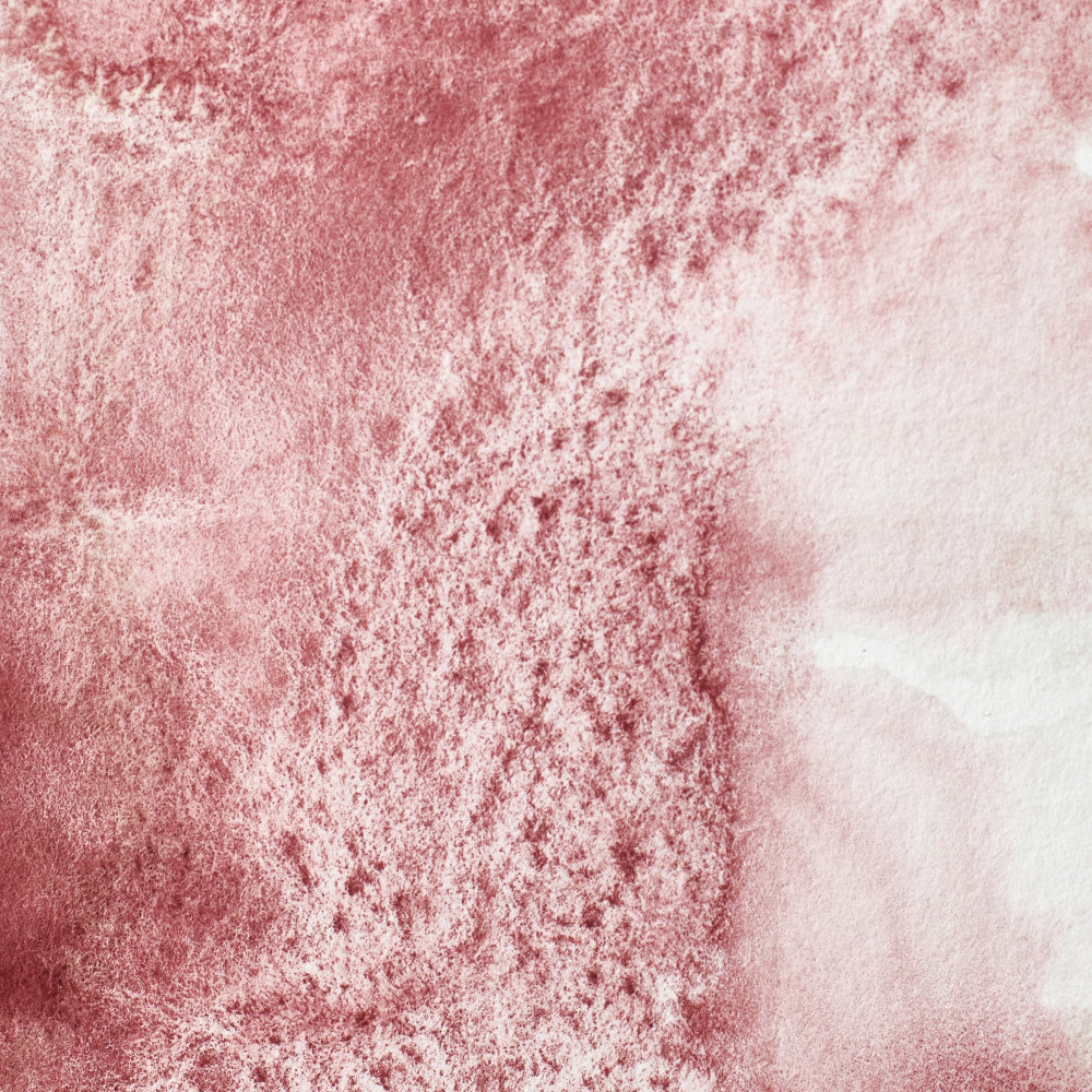 Farba akwarelowa Professional w półkostce - Winsor & Newton - Potter's Pink