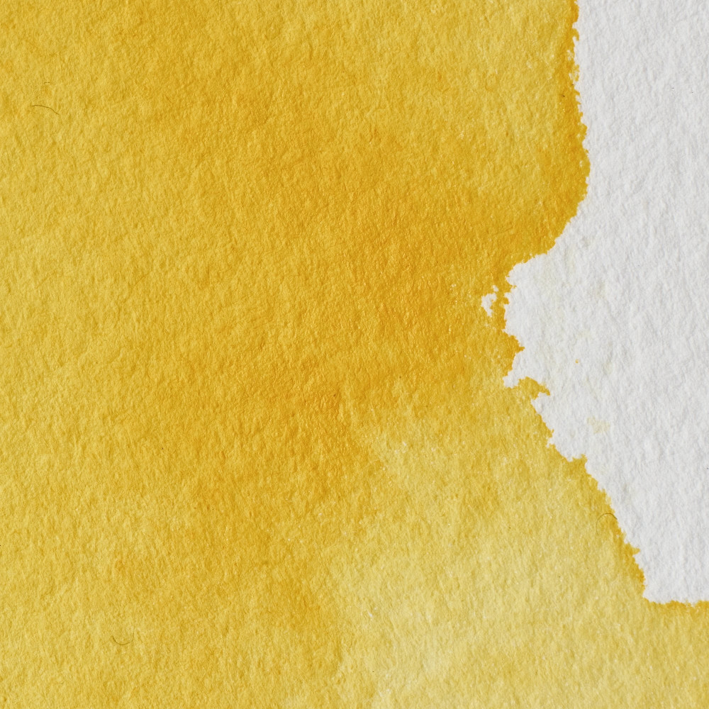 Professional Watercolor half-pan - Winsor & Newton - Cadmium Free Yellow