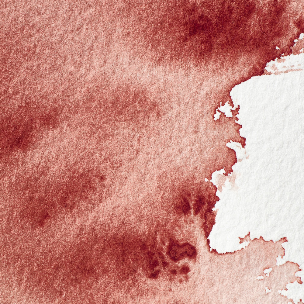 Farba akwarelowa Professional w półkostce - Winsor & Newton - Brown Madder