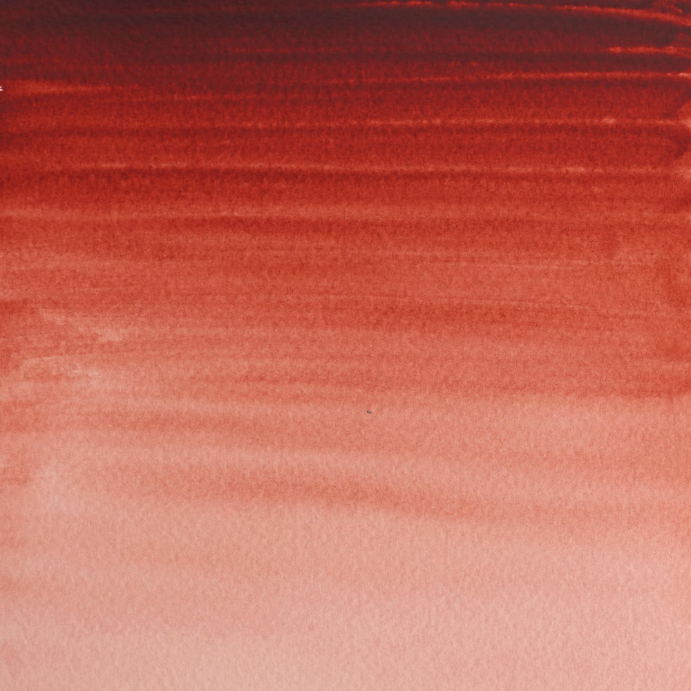 Professional Watercolor half-pan - Winsor & Newton - Brown Madder