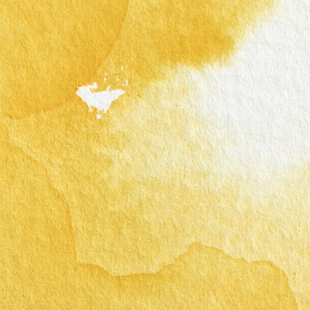 Farba akwarelowa Professional w półkostce - Winsor & Newton - Cadmium Yellow