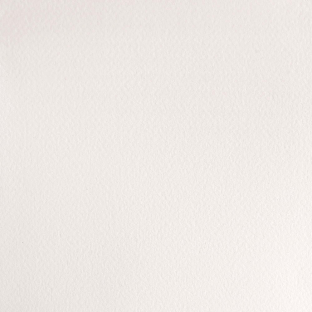 Farba akwarelowa Professional w półkostce - Winsor & Newton - China White