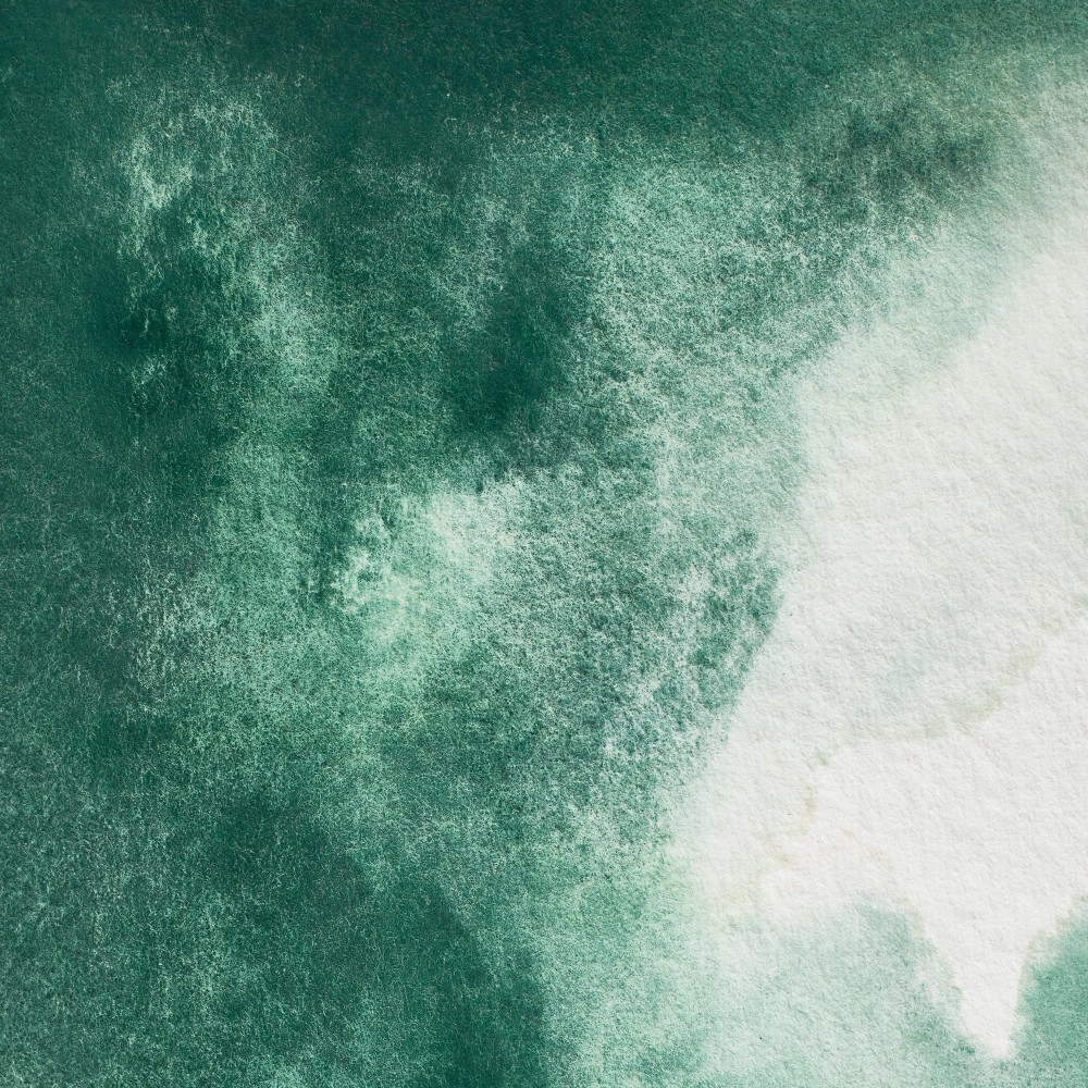 Farba akwarelowa Professional w półkostce - Winsor & Newton - Cobalt Green Deep