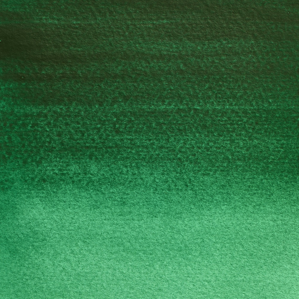 Professional Watercolor half-pan - Winsor & Newton - Viridian Hue