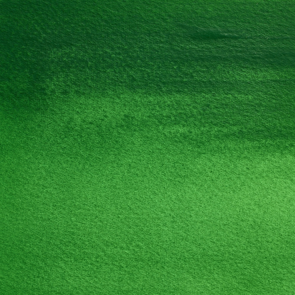 Farba akwarelowa Professional w półkostce - Winsor & Newton - Cinnabar Green