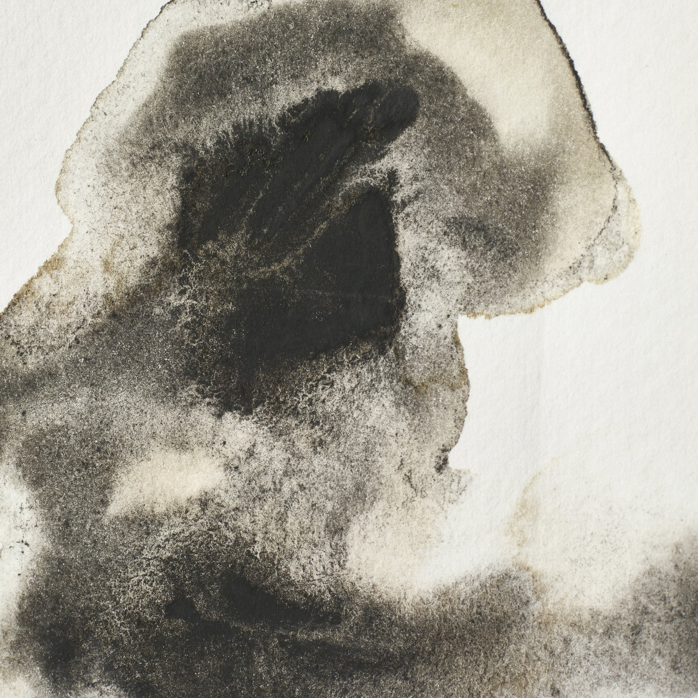 Farba akwarelowa Professional w półkostce - Winsor & Newton - Ostwald Grey