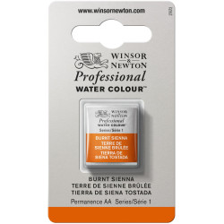 Professional Watercolor half-pan - Winsor & Newton - Burnt Sienna