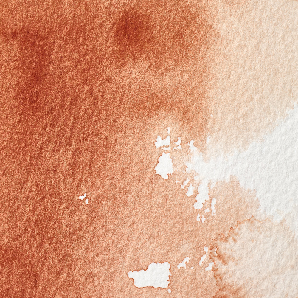 Farba akwarelowa Professional w półkostce - Winsor & Newton - Burnt Sienna