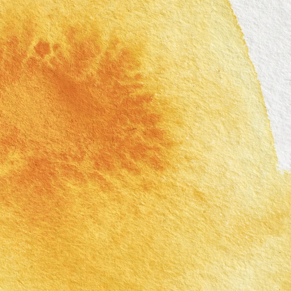Farba akwarelowa Professional w półkostce - Winsor & Newton - Cadmium Yellow Deep