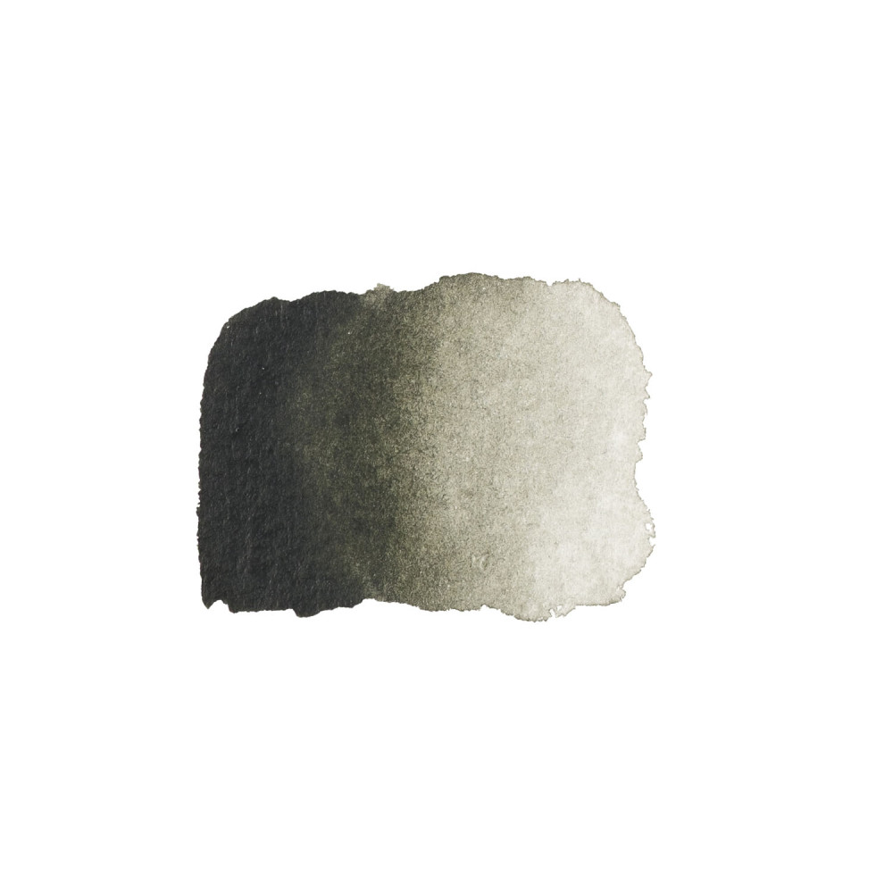 Grand Godet watercolor paint - Renesans - 31 Verdaccio