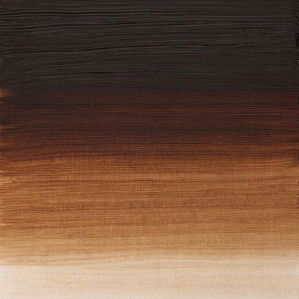 Oil paint Artists' Oil Colour - Winsor & Newton - Burnt Umber 200 ml