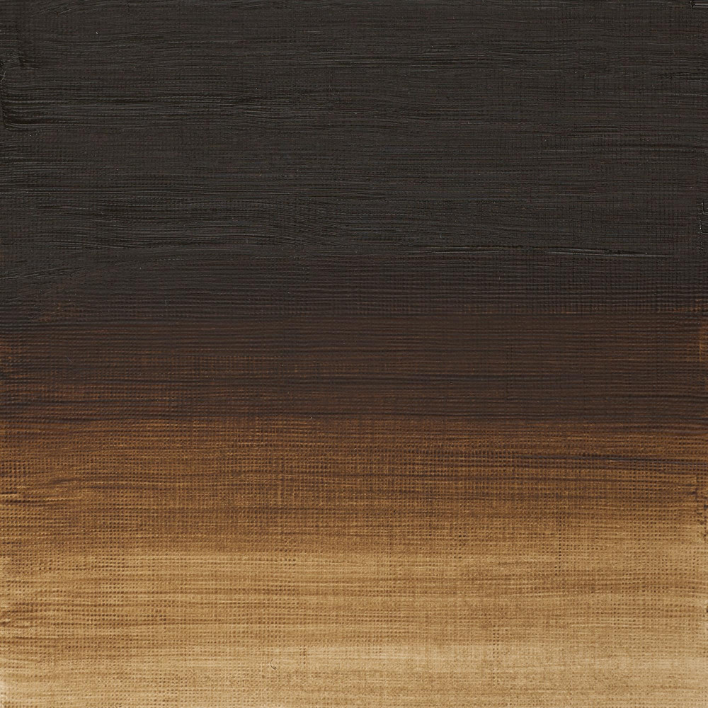 Oil paint Artists' Oil Colour - Winsor & Newton - Raw Umber 200 ml