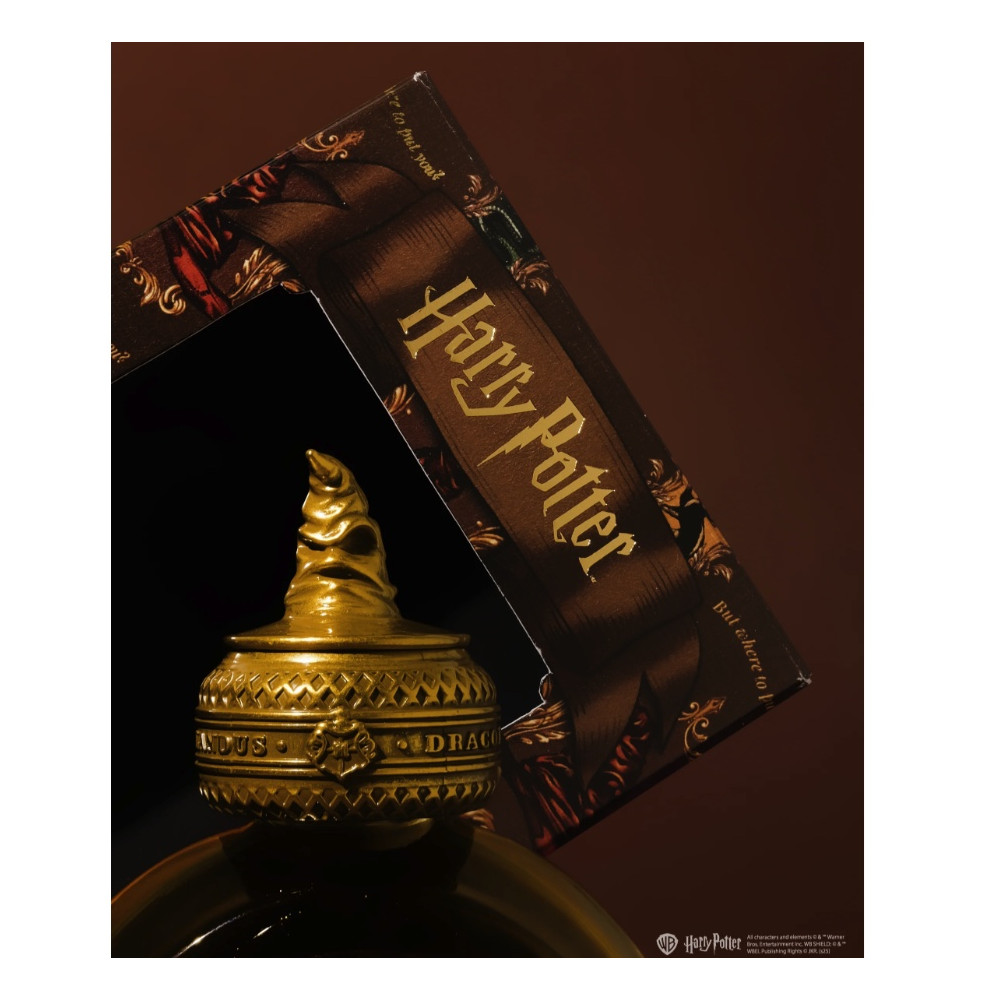 Calligraphy ink Harry Potter - Ferris Wheel Press - The Sorting Hat 38 ml