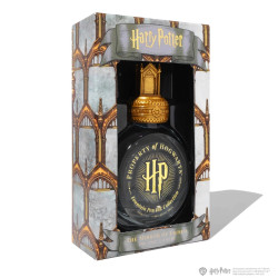 Calligraphy ink Harry Potter - Ferris Wheel Press - The Mirror of Erised 38 ml