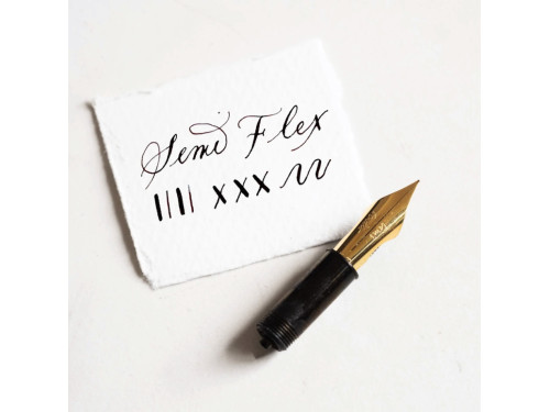 Extra Fine Semi Flex nib - Tom’s Studio