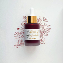 Calligraphy ink - Tom’s Studio - English Rose 30 ml