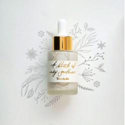 Tusz akrylowy do kaligrafii - Tom's Studio - Silver 30 ml