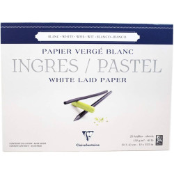 Ingres Pastel paper pad 30 x 40 cm - Clairefontaine - 130 g 25 sheets