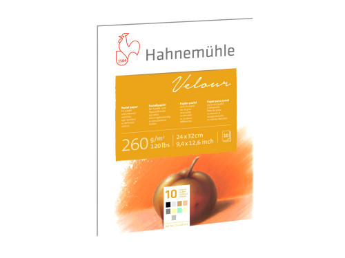 Velour paper pad 24 x 32 cm - Hahnemühle - Colored 260 g/m2 10 sheets