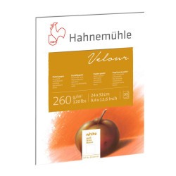 Blok do pasteli Velour Pad 24 x 32 cm - Hahnemühle - White 260 g/m2 10 ark.