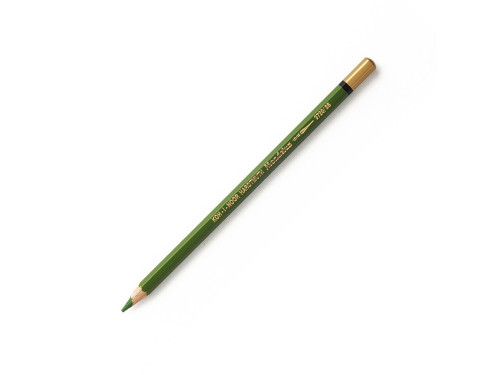 Watercolor colored pencil - Koh-I-Noor - 25 Meadow Green