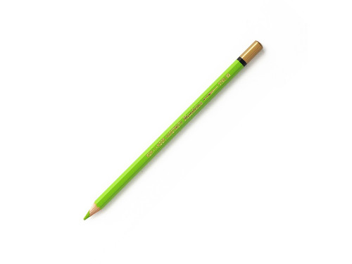 Watercolor colored pencil - Koh-I-Noor - 22 Yellowish Green